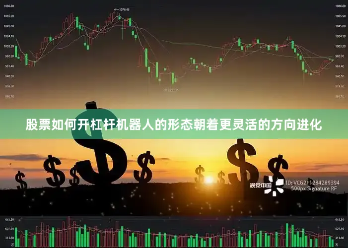 股票如何开杠杆机器人的形态朝着更灵活的方向进化