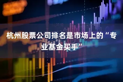 杭州股票公司排名是市场上的“专业基金买手”
