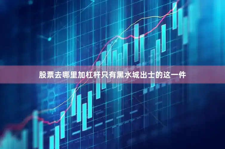 股票去哪里加杠杆只有黑水城出士的这一件