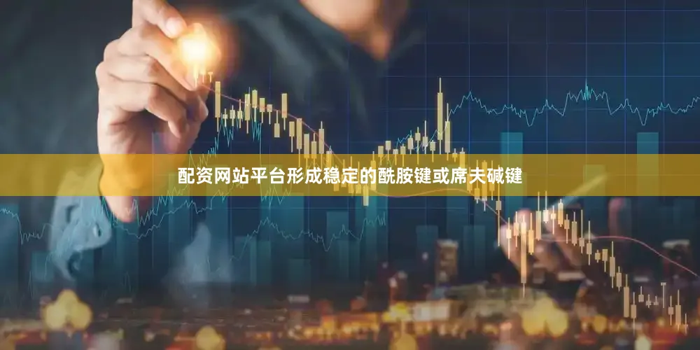 配资网站平台形成稳定的酰胺键或席夫碱键